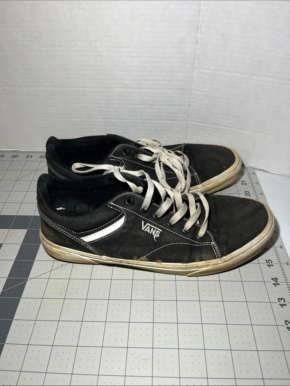 Vans Black and White Low-Top Skate Sneakers